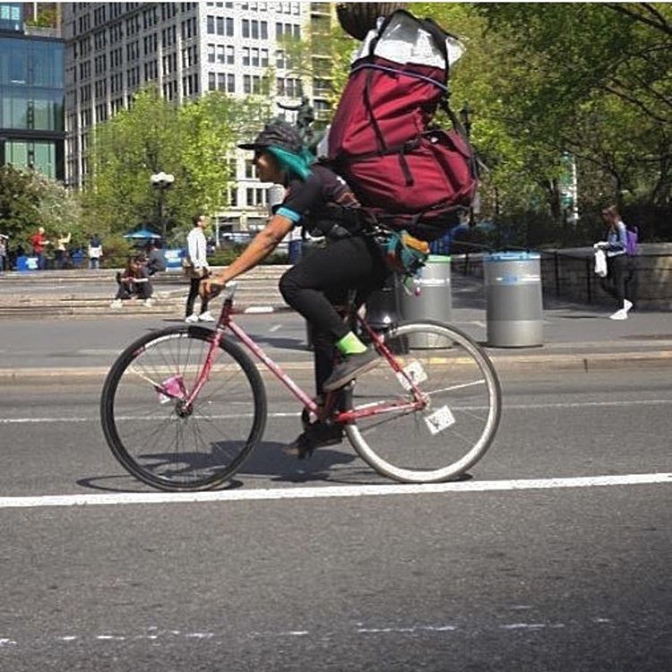 14099779_327614784239420_1227408554_n