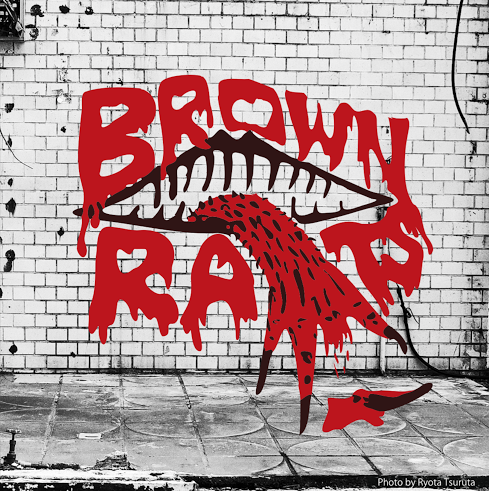 brown-rats3
