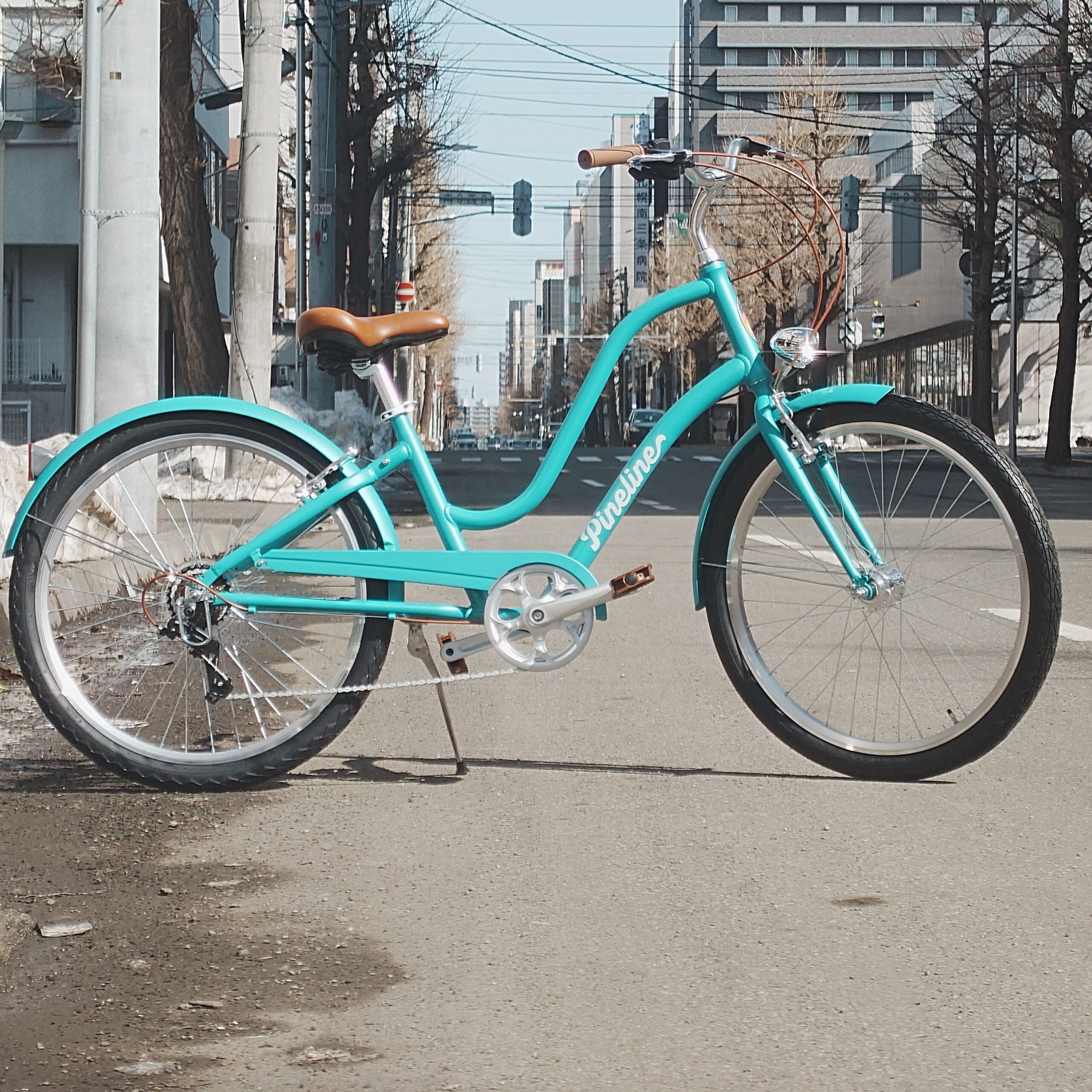 133748768902838583091148-